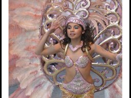 Carnaval de Mula 2014